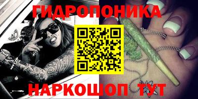 бошки Будённовск