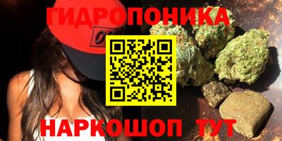 бошки Будённовск