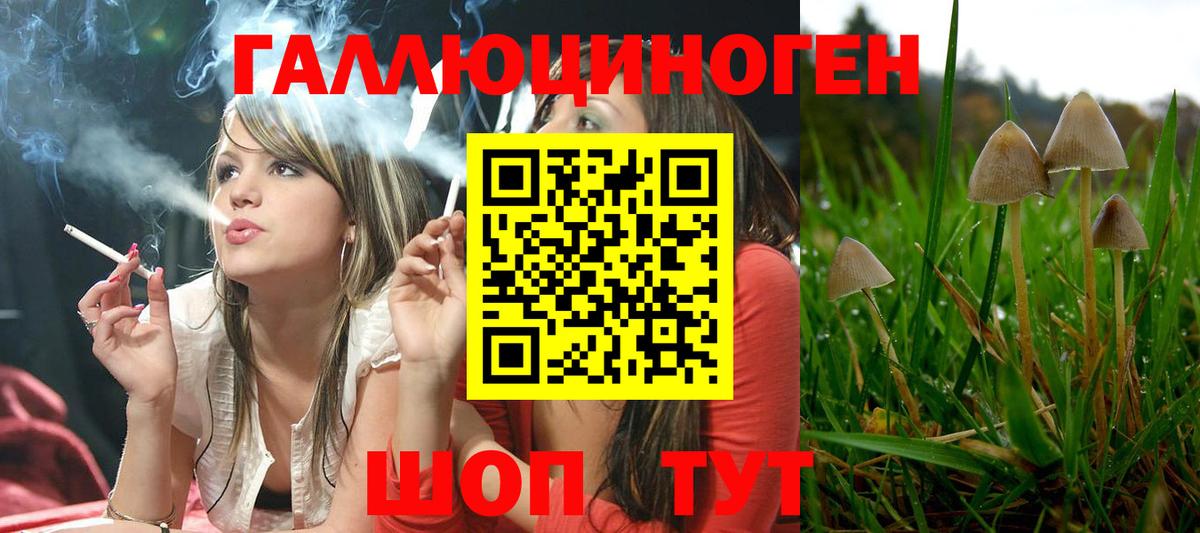 Псилоцибиновые грибы Psilocybine cubensis Прокопьевск