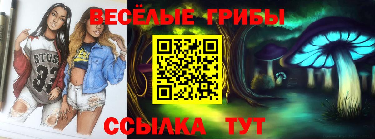 Прокопьевск  Галлюциногенные грибы Psilocybine cubensis  Псилоцибиновые грибы Magic Shrooms  Вход с VPN 